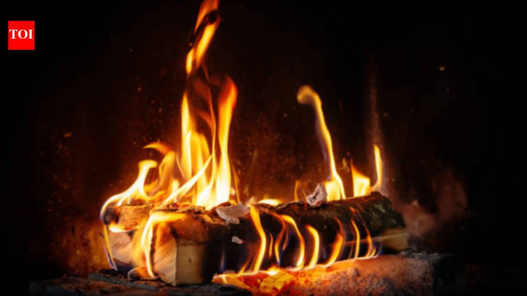 Today’s German proverb: “A crooked log can make a straight fire.”