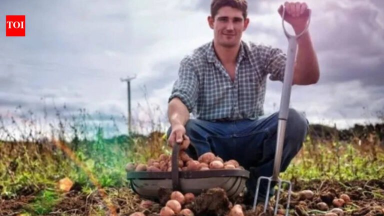 Today’s German proverb: “The stupidest farmer has the biggest potatoes” – a witty reminder that success does not always go to the smartest