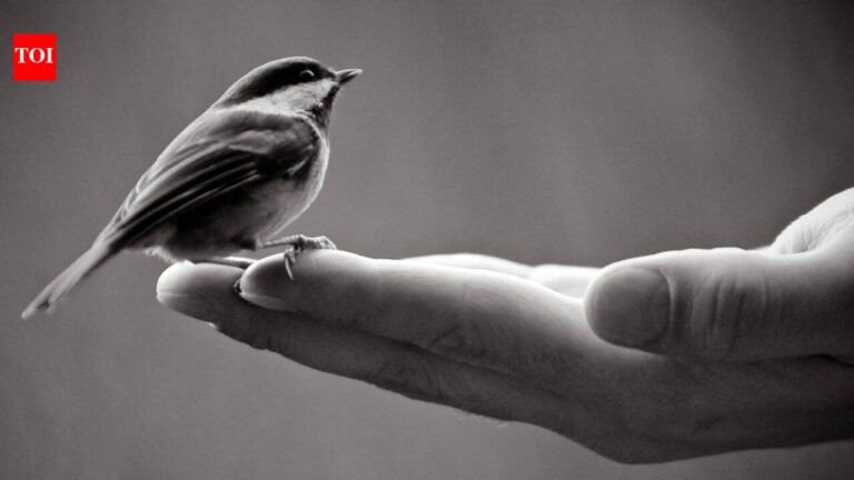 Today’s Spanish Proverb: “A bird in the hand is worth a hundred in flight” and why certainty often trumps the rewards of risk