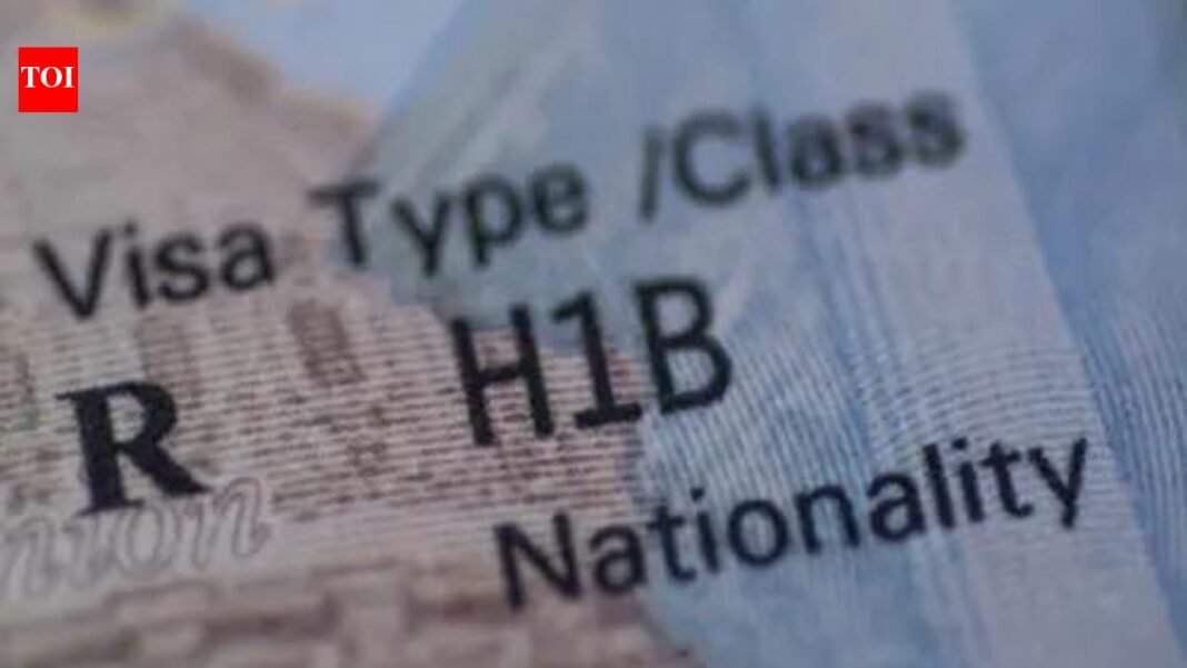 US judge blocks Donald Trump’s $100,000 visa fee, calling it illegal