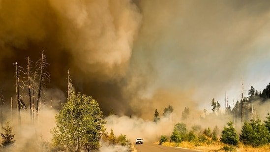 Utah Steel Fire Map, Evacuation Updates: Fire near Eureka burns acres; smoke visible in Juab and Tooele counties