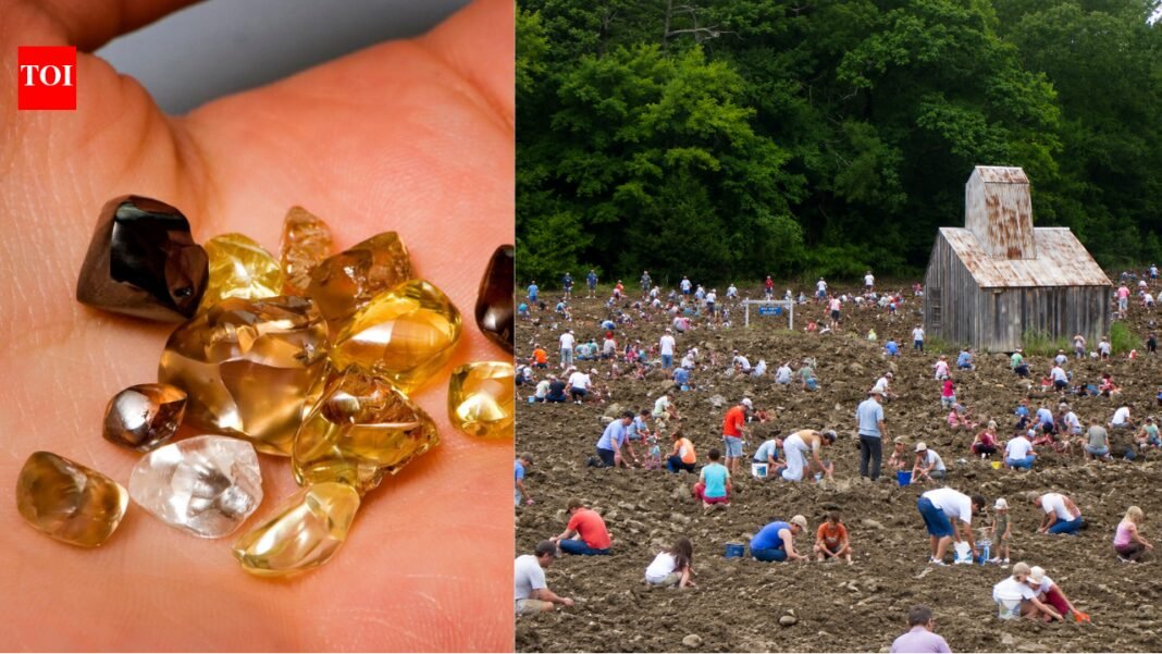 Visitors have discovered more than 37,000 diamonds at this US park since 1972 and can keep every gem they find | World News

